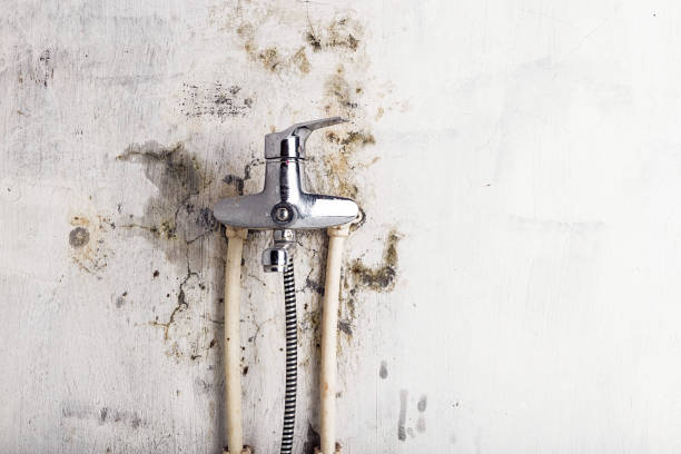Best Emergency Mold Removal  in Pacifi, CA