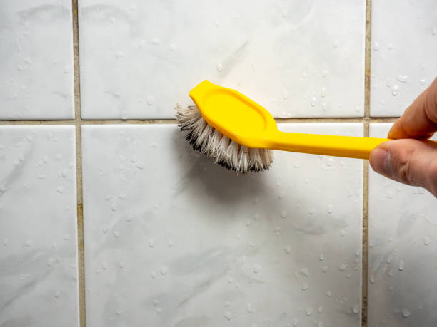 Best Local Mold Removal Service  in Pacifi, CA