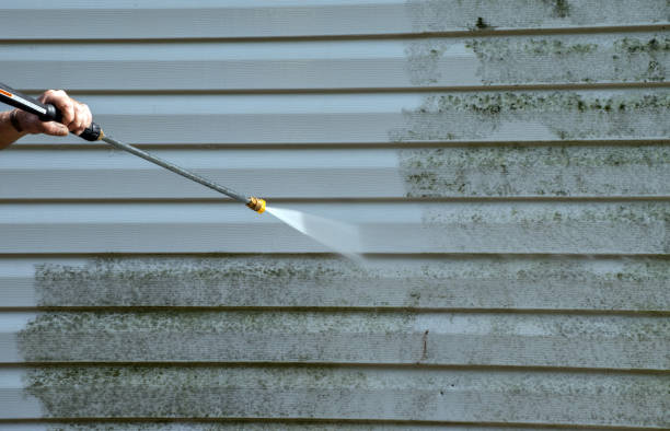 Best Mold Cleaning Services  in Pacifi, CA