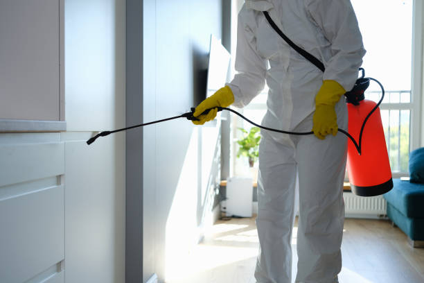 Mold Removal Process in Pacifica, CA