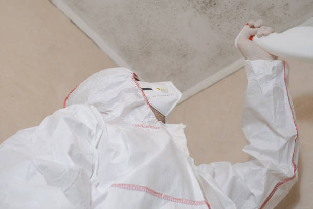 Best Best Mold Removal Companies  in Pacifi, CA