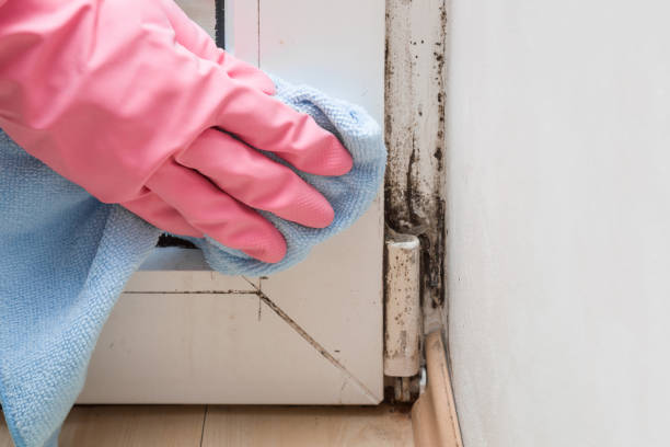 Water Damage Restoration in Pacifica, CA